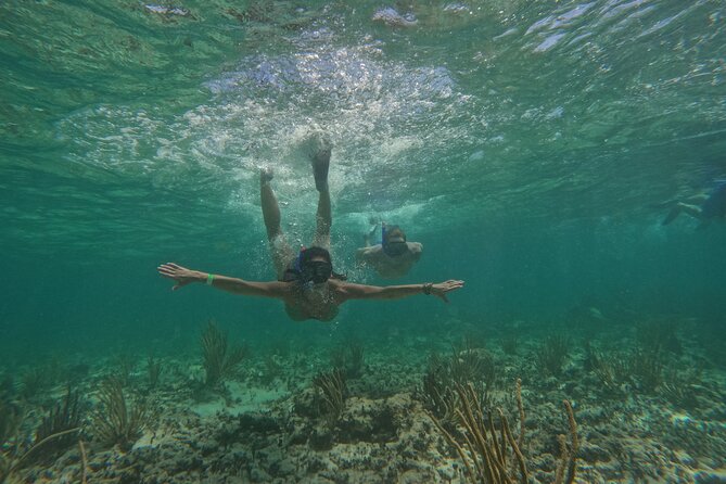 Catamaran Cruise in Riviera Maya With Snorkeling & Beach Club - Practical Tips That Make Your Day Smoother