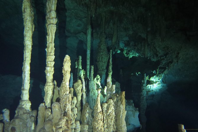 Cenote diving Dream Gate - Key Points to Know Before You Go
