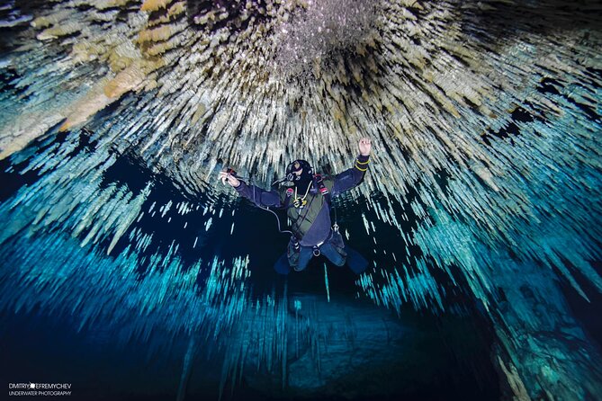 Cenote diving Dream Gate - Upstream vs Downstream: The Two Routes That Change the View