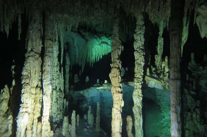 Cenote diving Dream Gate - Getting In and Out: What the Cenote Environment Feels Like