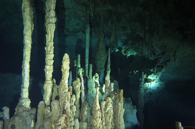 Cenote diving Dream Gate - When This Tour Might Not Be Your Best Fit