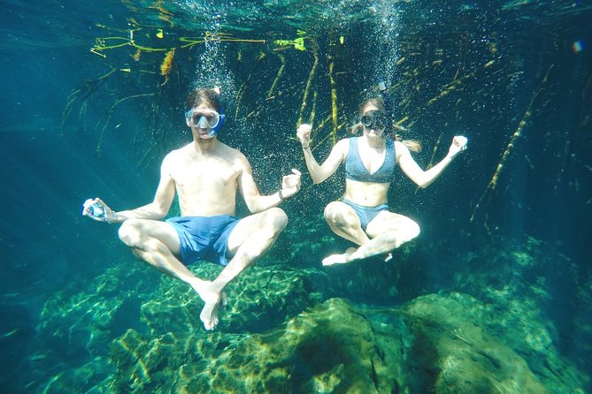 Cenote Paddleboarding and Snorkeling in Tulum - The Taco Lunch in Tulum Town: Real Food, Not a Token Bite