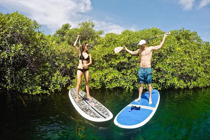 Cenote Paddleboarding and Snorkeling in Tulum - Transportation and Meeting Point: Easy if You’re Staying in Tulum Centro