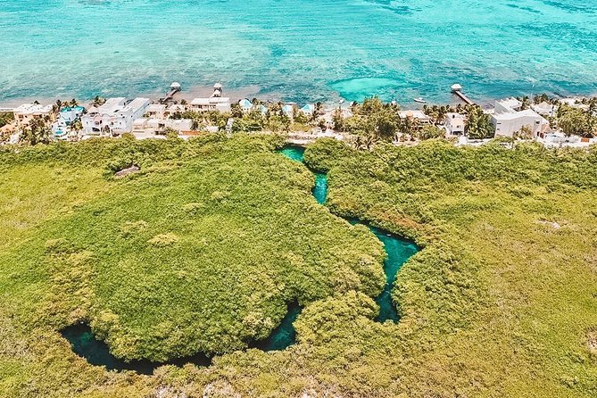Cenote Paddleboarding and Snorkeling in Tulum - Who This Tour Fits Best (And Who Might Want a Different Option)