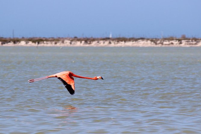 Cenote Suytun & Rio Lagartos & Las Coloradas - From your hotel to Cenote Suytun: why the timing matters