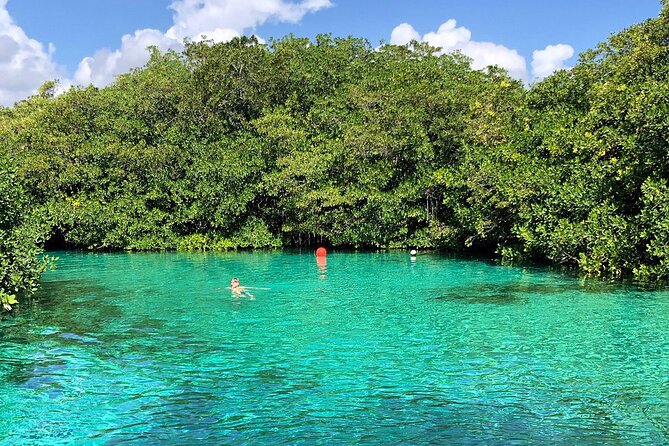 Cenote Triple Adventure Tour in Tulum - Gran Cenote: half-open cave light and snorkeling time