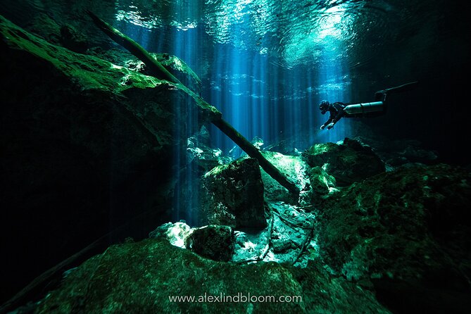 Cenotes 2-Day Scuba Diving Package in the Riviera Maya - Day One: Ocean reef sessions near Playa del Carmen