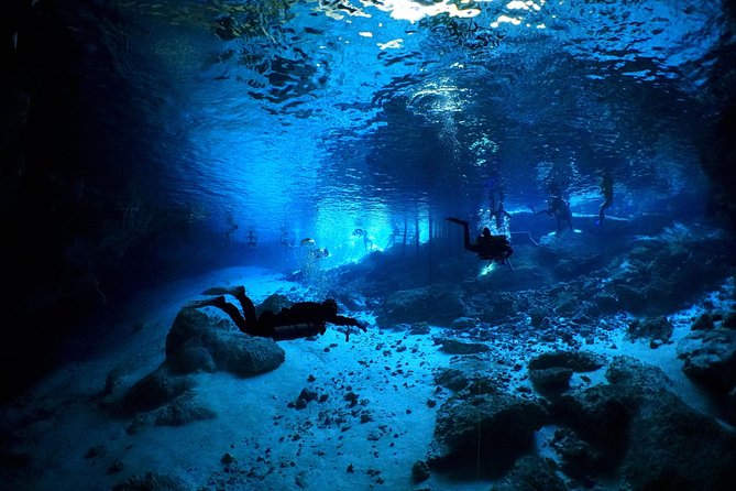 Cenotes 2-Tank Dive in Playa del Carmen/for certified divers only - Comfort and fitness: what moderate fitness really means here