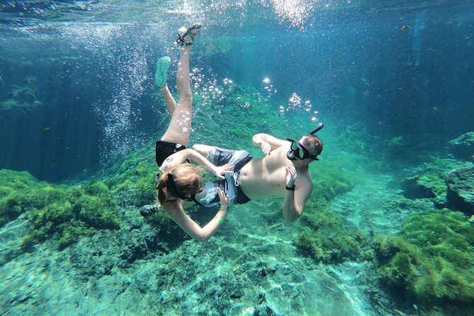 Cenotes by Bike and Mayan Cooking Class Half-Day Guided Tour - Why this Playa del Carmen cenote-and-cooking combo works so well