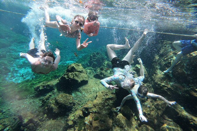 Cenotes by Bike and Mayan Cooking Class Half-Day Guided Tour - Price and value: is $59.78 actually fair?