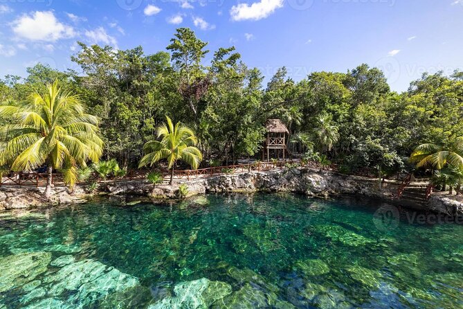 Cenotes Casa Tortuga: 4 Cenotes Day Pass - Key highlights at Casa Tortuga