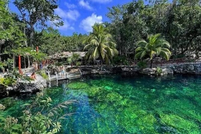 Cenotes Casa Tortuga: 4 Cenotes Day Pass - What you’ll actually do during the day pass
