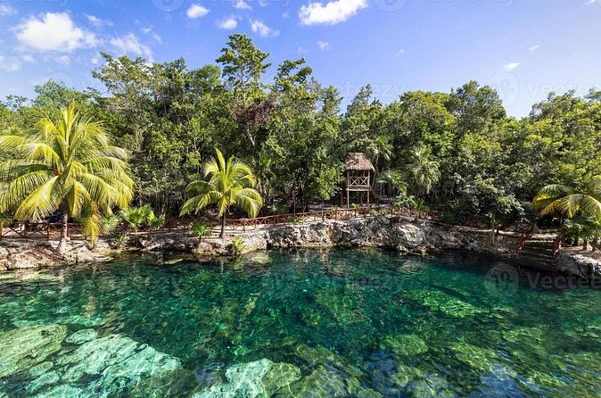 Cenotes Casa Tortuga: 4 Cenotes Day Pass - Guided route: why it makes the difference