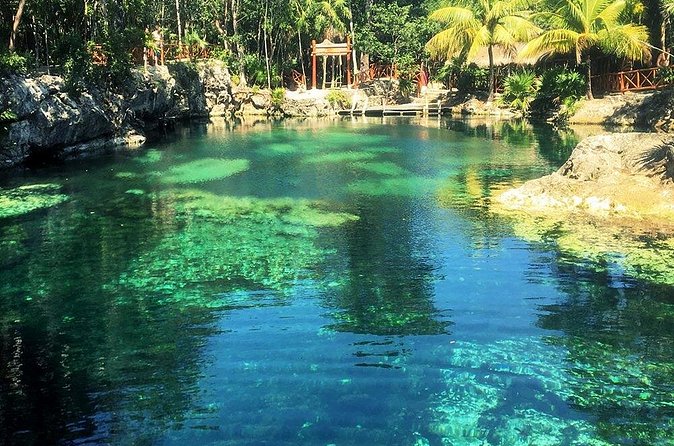 Cenotes Casa Tortuga: 4 Cenotes Day Pass - Logistics that affect your enjoyment: timing, groups, and check-in