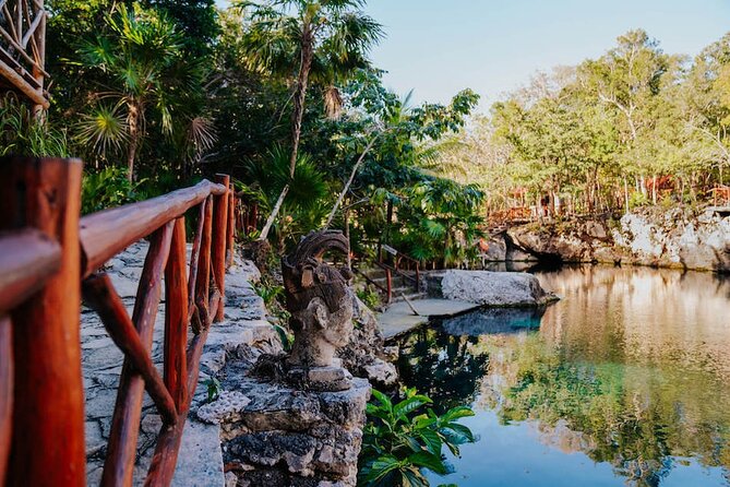 Cenotes Casa Tortuga: 4 Cenotes Day Pass - The 4 cenotes plan: variety in open water and cave-style swimming