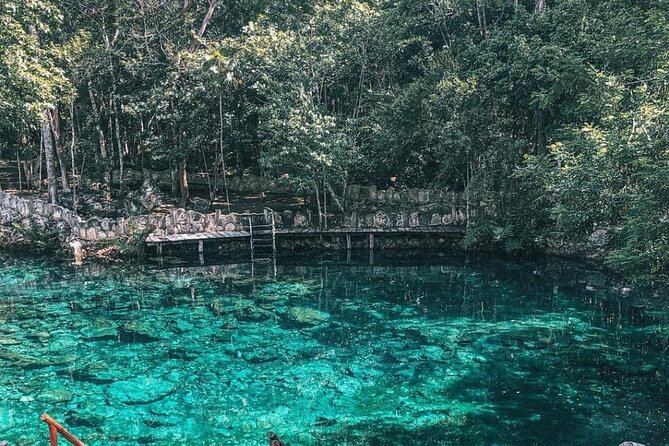 Cenotes Casa Tortuga - How the Guide Changes the Whole Cenote Experience