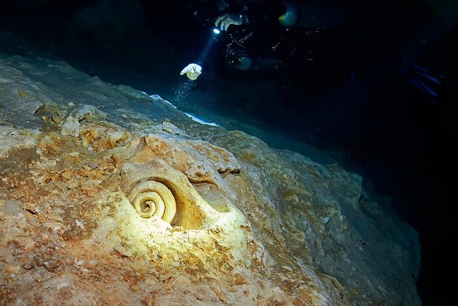 Cenotes diving - Why the morning sunlight timing is the real star