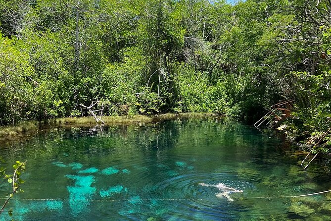 Cenotes Private Tour ( Two Eyes, Jaguar & Nicte-Ha ) - Dos Ojos (Two Eyes): the famous semi-open cave experience for clear visibility