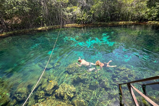 Cenotes Private Tour ( Two Eyes, Jaguar & Nicte-Ha ) - Where this tour fits best (and who should rethink it)
