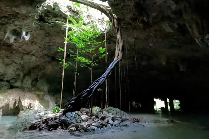 Cenotes Sacactum, Private tour. - Guides that make a difference: Lalo and Eduardo