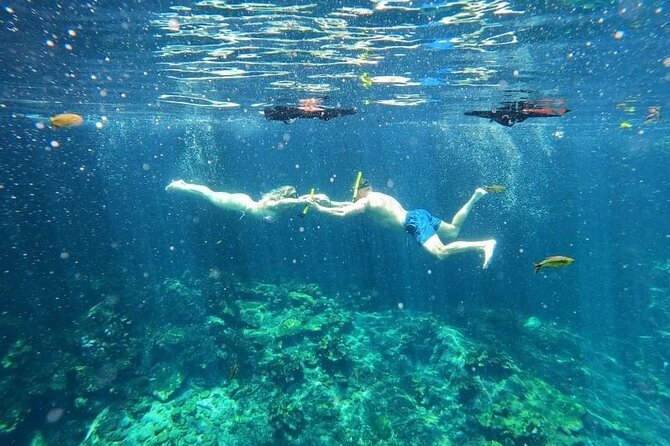 Cenotes Sacactum, Private tour. - Who should book this cenote private tour?
