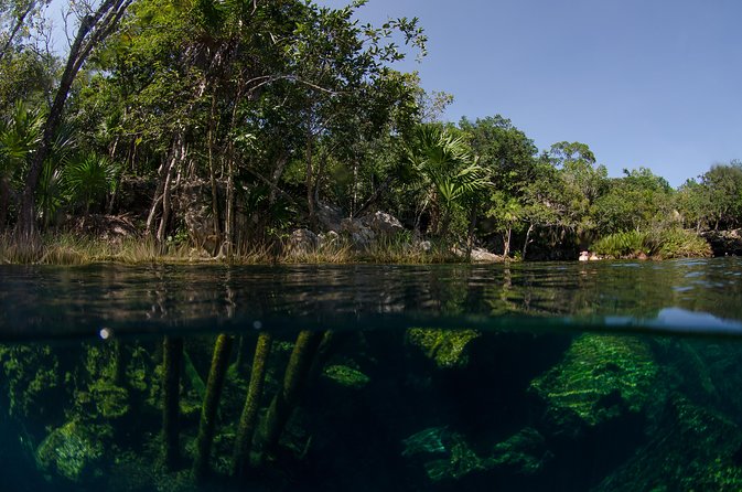 Cenotes snorkeling excursion - Price and Value at $104: What You’re Paying For