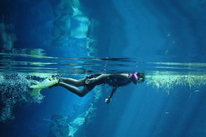 Cenotes snorkeling excursion - The Jungle Drive and Safety Briefing That Sets the Tone