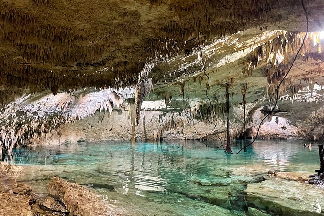 Cenotes Taak Bi Ha & Nicte Ha – VIP Snorkeling Private Tour - Why Taak Bi Ha and Nicte Ha Work So Well Together