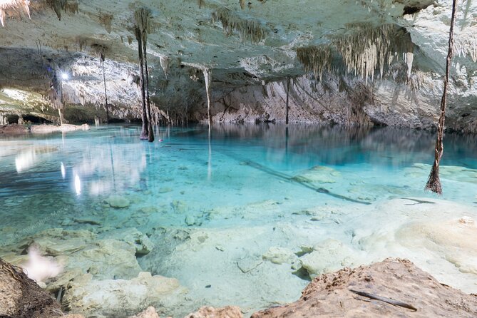 Cenotes Taak Bi Ha & Nicte Ha – VIP Snorkeling Private Tour - Cenote Nicte Ha: Sunlight, Small Fish, and a Friendly Entry