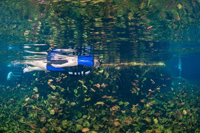 Cenotes Taak Bi Ha & Nicte Ha – VIP Snorkeling Private Tour - Price and Value: What $176 Buys You