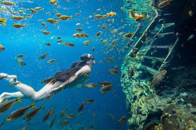 Cenotes Tour: Discover Hidden Gems, from Playa del Carmen - When the Van Time Takes Over: Crowds, Heat, and Long Transfers