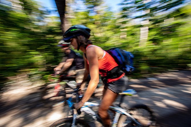 Cenotes trail jungle bike tour in Tulum with lunch - Lunch in the woods: why the meal is more than food