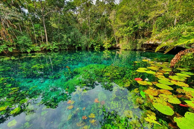 Cenotes trail jungle bike tour in Tulum with lunch - Guides, safety, and the stuff you can control before you arrive