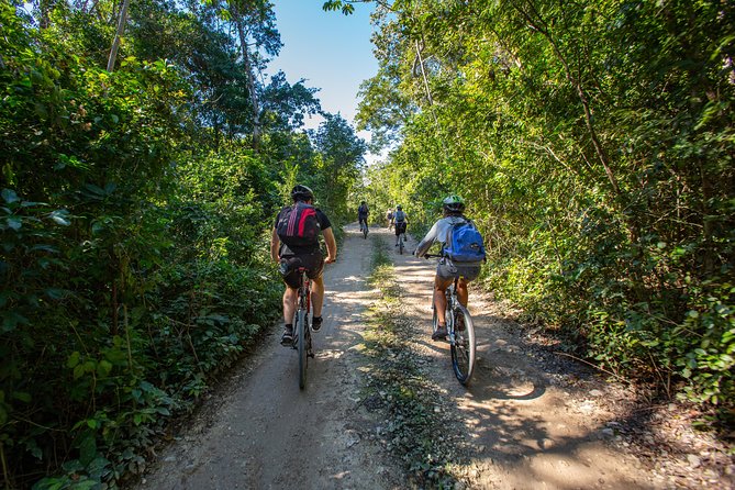 Cenotes trail jungle bike tour in Tulum with lunch - Should you book the Tulum cenotes jungle bike tour?