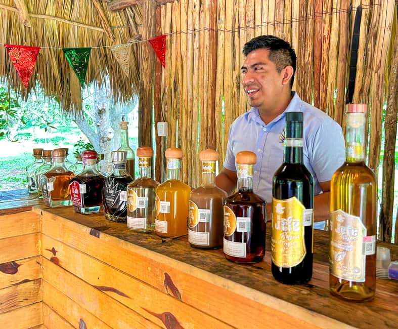Chichen Itza: All-Inclusive Tour with Valladolid & Cenote - Pickup, Transport, and Why the Driver Matters More Than You Think