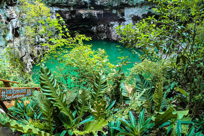 Choose your experience to live in Los 7 Cenotes San Gerónimo - The Bike Lead-In: 1.2 km of Nature Before the Water