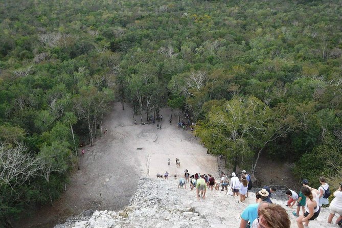 Cobá Adventure (Private, Full Day) - Jungle Movement: Bike or Walk, and How to Choose