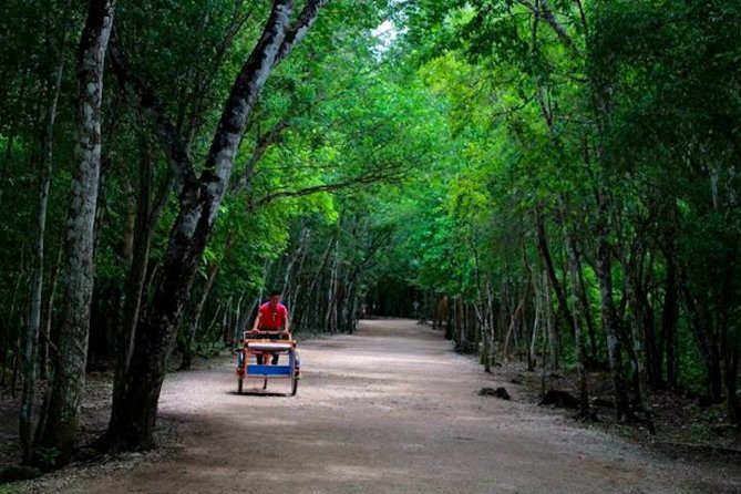 Coba Mayan Ruins and Cenote Cultural Full-Day Tour from Riviera Maya - Guides, Language, and Group Size: How This Tour Feels Day-to-Day