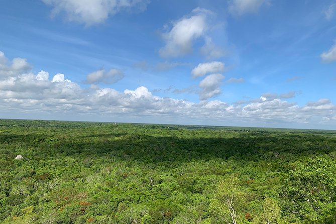 Coba Ruins and Punta Laguna Monkey Reserve Day Tour from Tulum - Kayak on the Lagoon: A Breather Between Big-Impact Activities
