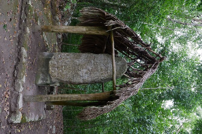 Cobá Ruins Mayan Village and Cenote Tour from Riviera Maya - Transport, group size, and the comfort factor