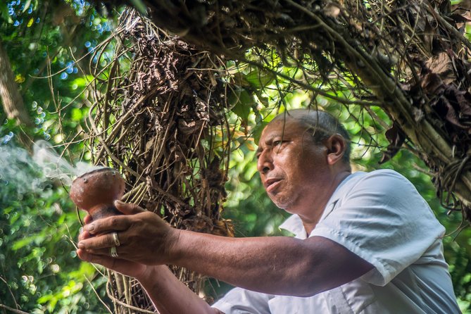 Coba Ruins, Punta Laguna Nature Reserve, Cenote and Mayan family - The Mayan Family Lunch You Can Actually Talk With