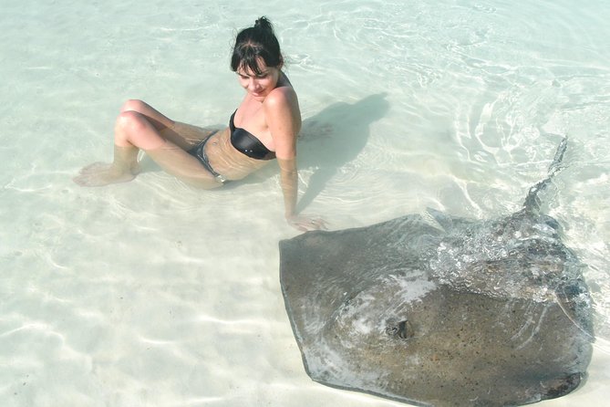 Contoy Island - Key highlights you’ll care about
