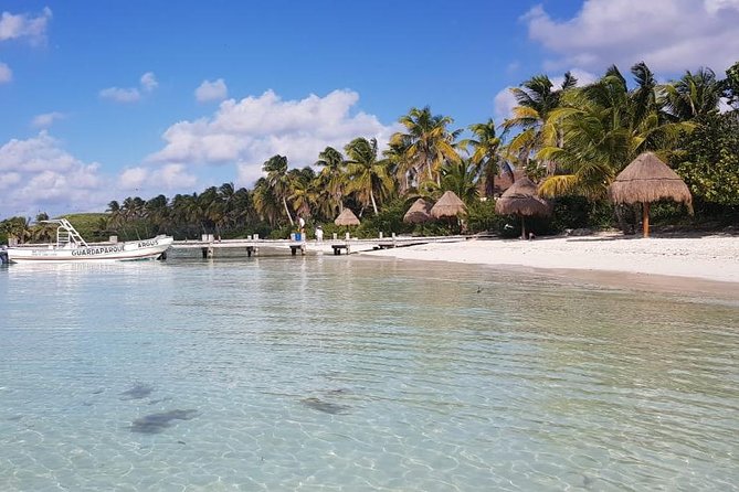 Contoy Island - Isla Contoy: why this tour feels different