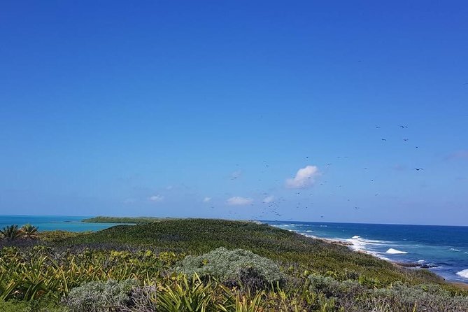 Contoy Island - Isla Mujeres for one hour: worth it, but don’t expect a full day