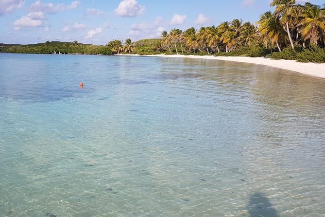 Contoy Island - Price and value: what $176 buys you (and what it doesn’t)