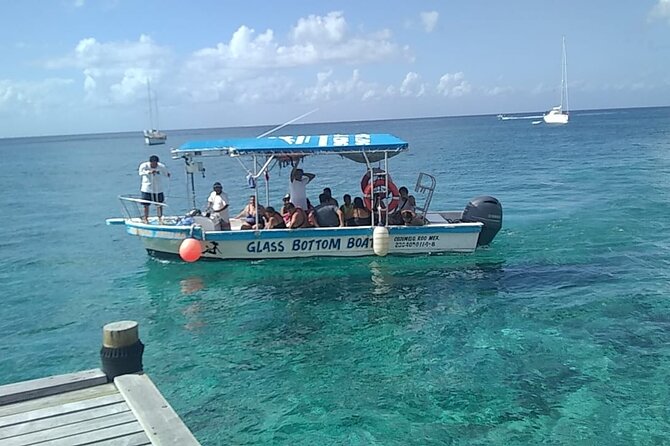 Cozumel El Cielo Tour by Boat from Playa del Carmen & Transfer - El Cielito beach club: manta-ray odds and real downtime