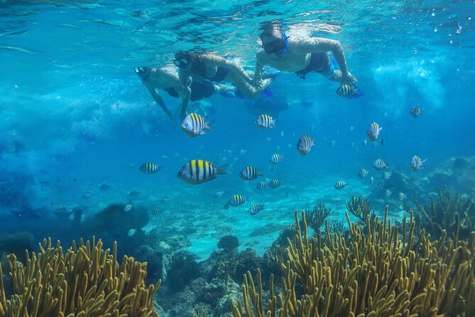 Cozumel Luxury Sailing & Snorkeling with Lunch and Open Bar Onboard - Snorkeling Stops: Reef Time, Marine Life, and the Jellyfish Reality