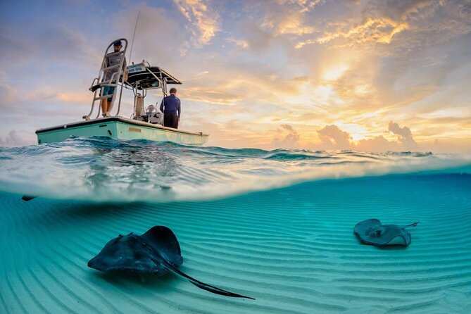 Cozumel Snorkel at El Cielo & 2 Reefs! Transportation from Tulum - The Boat Ride on a Regular Motor Boat: Comfort, Safety, and Weather Reality