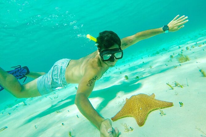 Cozumel Snorkel at El Cielo & 2 Reefs! Transportation from Tulum - Who Should Book This Snorkel Day (and Who Should Skip It)