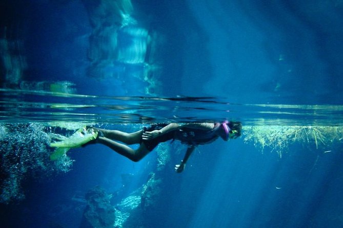 Cozumel Snorkeling Tour from Playa del Carmen - Parque Nacional Arrecifes de Cozumel: Your First Reef Stop